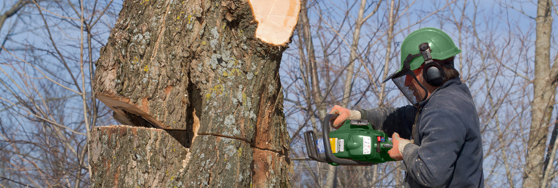 An Arborist Cutting Tree With Chainsaw