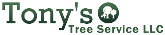 Tony's Tree Service LLC